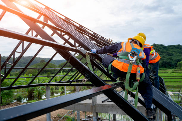 Professional Roofing Contractor in Bonnie Brae, IL