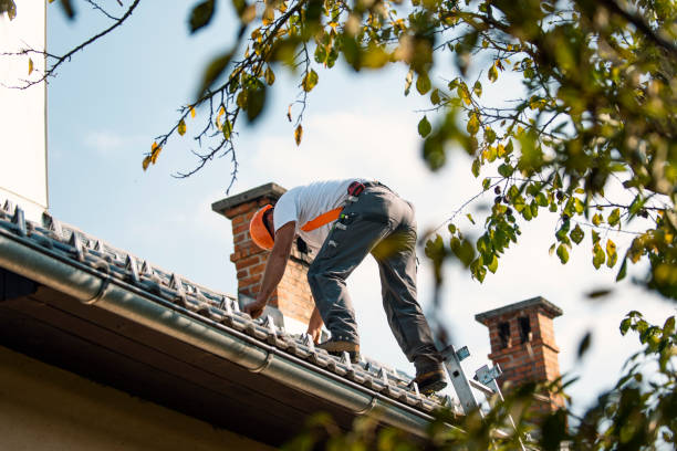 Quick and Trustworthy Emergency Roof Repair Services in Bonnie Brae, IL