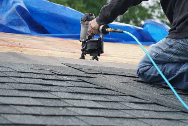 Professional Roofing Contractor in Bonnie Brae, IL