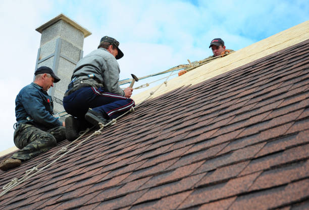 Quick and Trustworthy Emergency Roof Repair Services in Bonnie Brae, IL