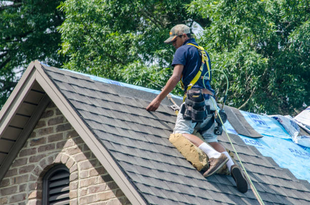 Roof Repair Estimates in Bonnie Brae, IL