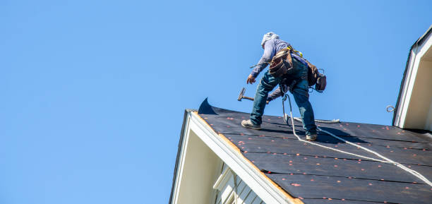 Residential Roof Replacement in Bonnie Brae, IL